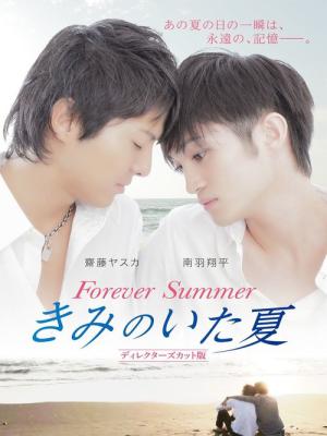 きみのいた夏　ディレクターズカット版 (2012)