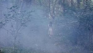 裸身の裏顔 ふしだらな愛 (2008)