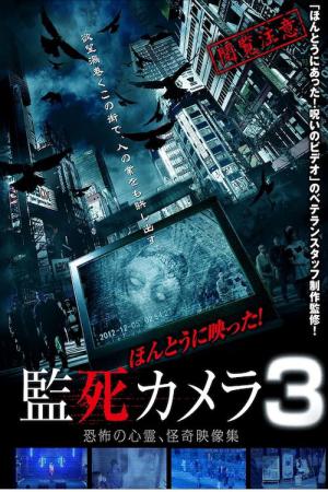 ほんとうに映った!監死カメラ 3 (2013)