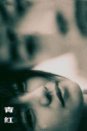 シャンハイ・ドリームズ (2005)