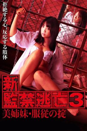 新・監禁逃亡３ 美姉妹・服従の掟 (2010)