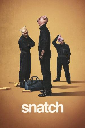 スナッチ・ザ・シリーズ (2017)
