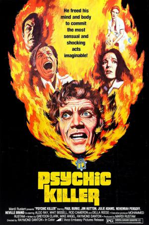 謎の完全殺人 (1975)