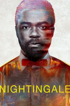 ある殺人者の告白 (2014)