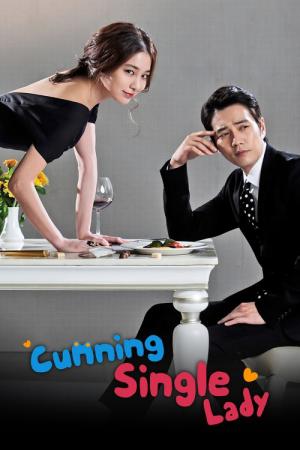 ずる賢いバツイチの恋 (2014)