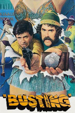 破壊！ (1974)