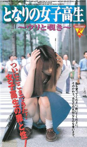 Nusumidori report: insha! (1991)