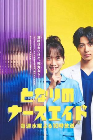 となりのナースエイド (2024)