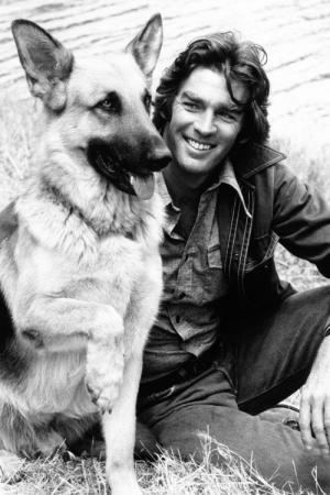 がんばれ!名犬ジョー (1974)