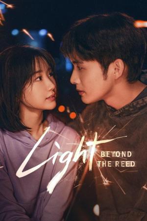 ヨシの向こうの光 (2025)