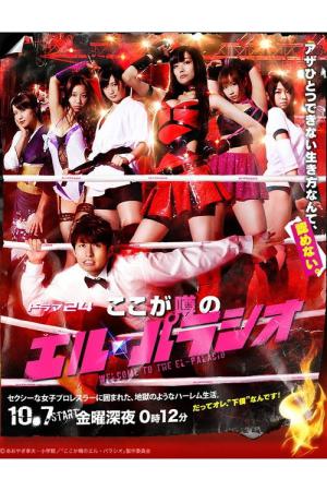 ここが噂のエル・パラシオ (2011)