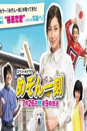 スペシャルドラマ　めぞん一刻 (2008)