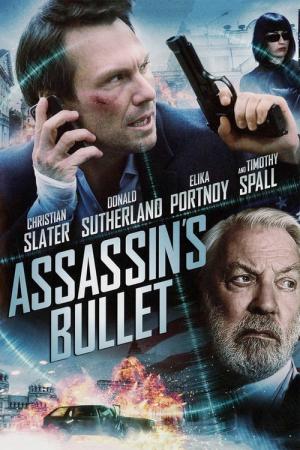 コールド・バレッツ 裏切りの陰謀 (2012)