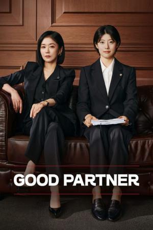 グッド・パートナー ～離婚のお悩み解決します～ (2024)