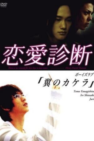 恋愛診断 (2007)