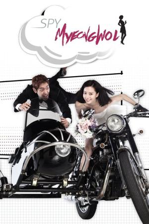 ラブ・ミッション ～スーパースターと結婚せよ!～ (2011)