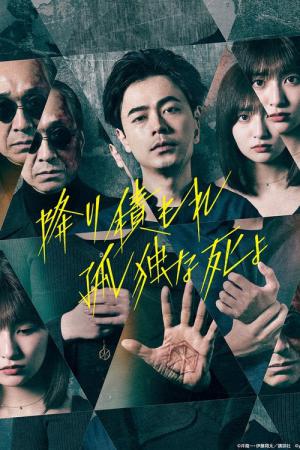降り積もれ孤独な死よ (2024)