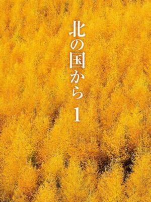 北の国から (1981)