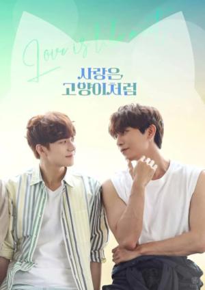 Love Is Like a Cat (2024)