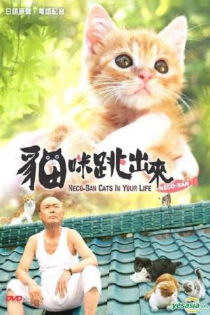 ねこばん3D とび出すにゃんこ (2011)