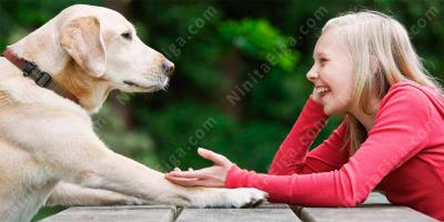 動物と話す映画