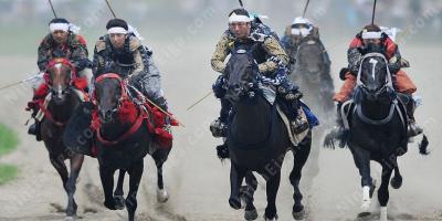 馬の追跡映画
