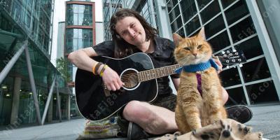 野良猫映画