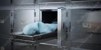 焼死体映画