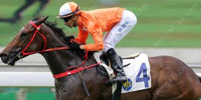 騎手映画