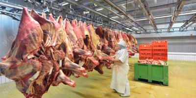 食肉産業映画