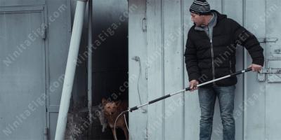 ドッグキャッチャー映画
