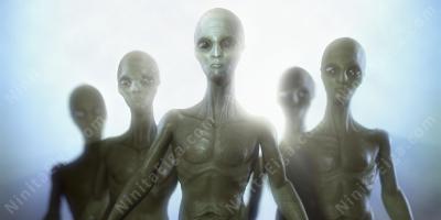 人間エイリアンのハイブリッド映画